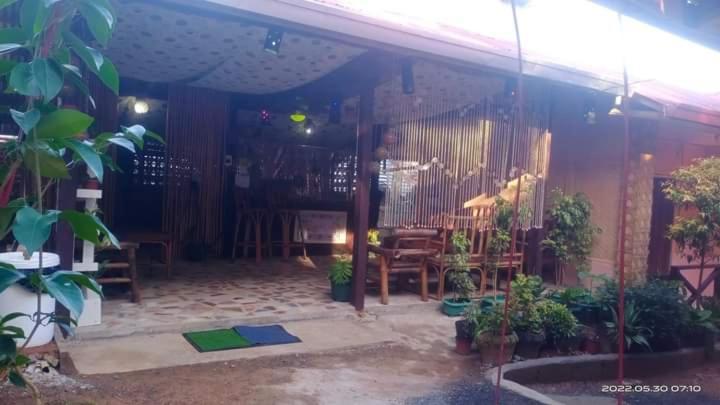 Forest Inn 爱妮岛 外观 照片